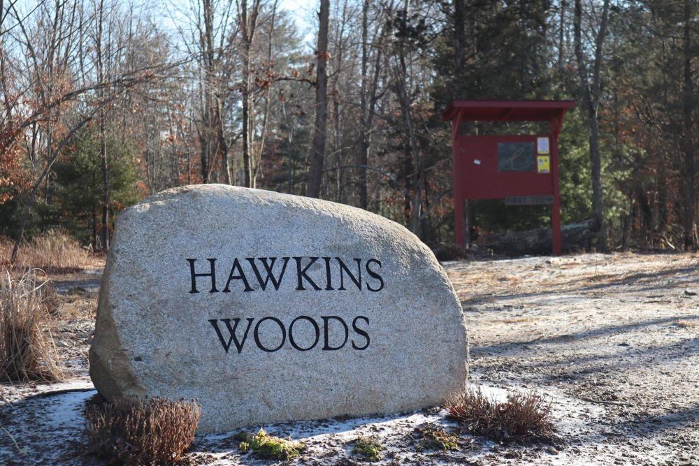 Hawkins Woods