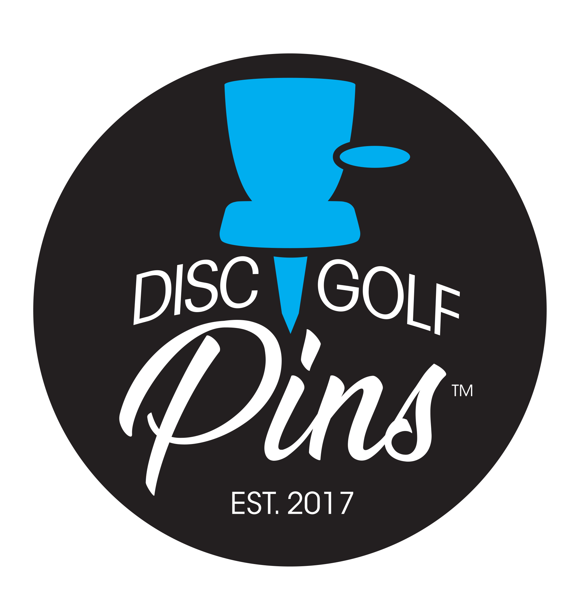 disc_golf_pins.png