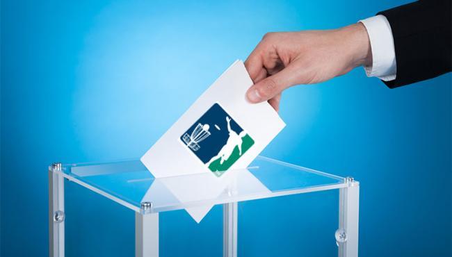 PDGA Elections