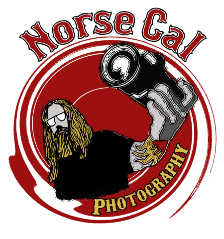 Norse-Cal's picture