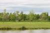 Kilcona Park Disc Golf Course - Lakes