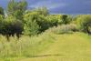 Pothole Creek Disc Golf Course