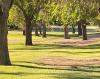 Washoe Disc Golf Course