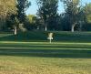 Washoe Disc Golf Course