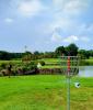 Pulai Springs Evie Disc Golf Course 